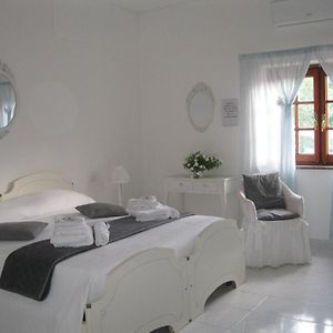 Large Double or Twin Room